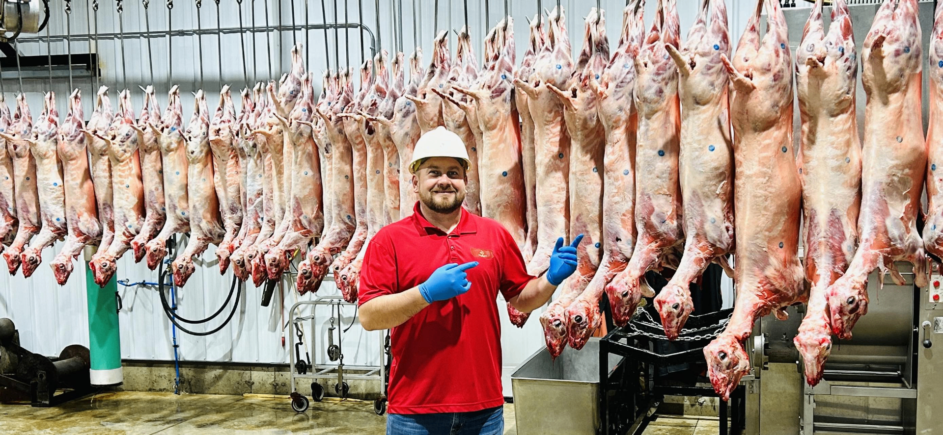 Alen at USA Halal Meat Inc. in front of a row of freshly processed halal lamb carcasses