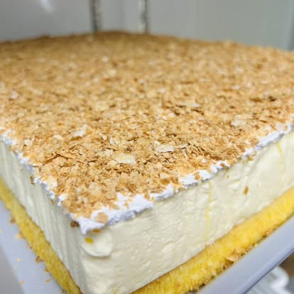 Large coconut-flake topped cream cake on a sponge base